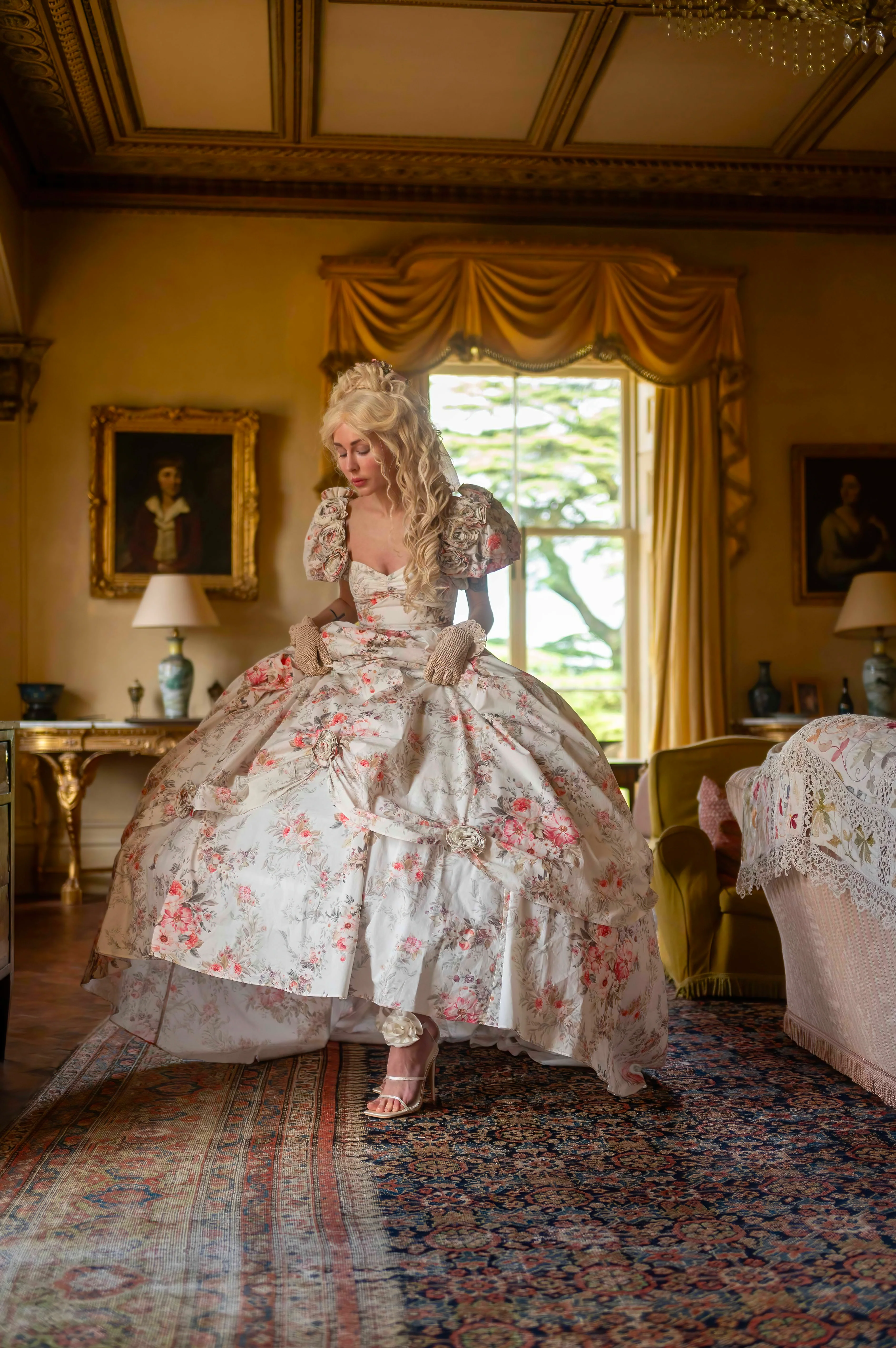 English Lady Ballroom Gown - Image 28